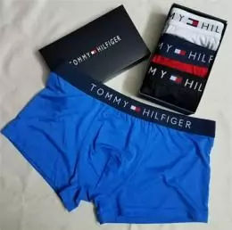 tommy hilfiger th sous vetementss pour homme s_721250